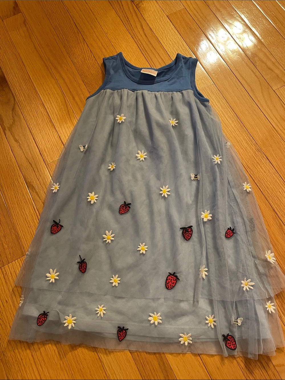 Hanna Andersson Blue Tulle Dress with Daisy & Strawberry Appliqués